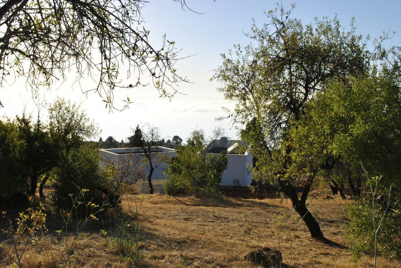 Villa Horizonte Puntagorda 외부 사진